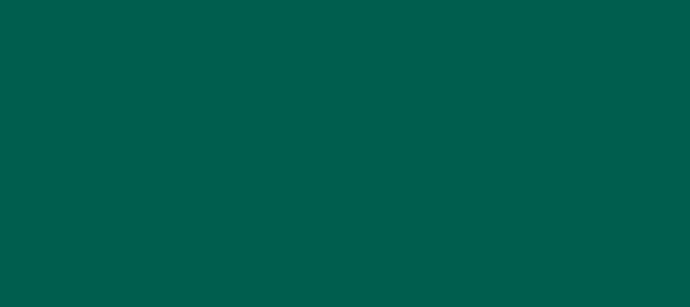 Color #005E4E Mosque (background png icon) HTML CSS