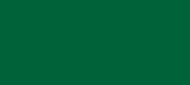 Color #006238 Fun Green (background png icon) HTML CSS