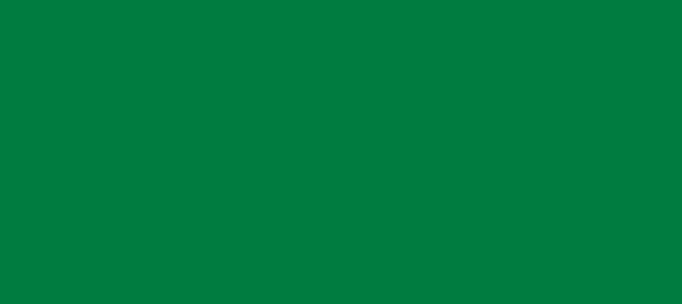 Color #007C40 Dark Spring Green (background png icon) HTML CSS