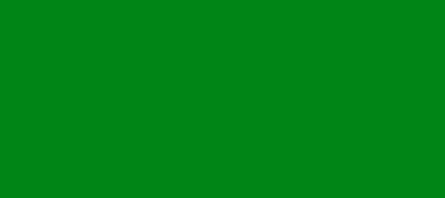 Color #008516 Green (background png icon) HTML CSS