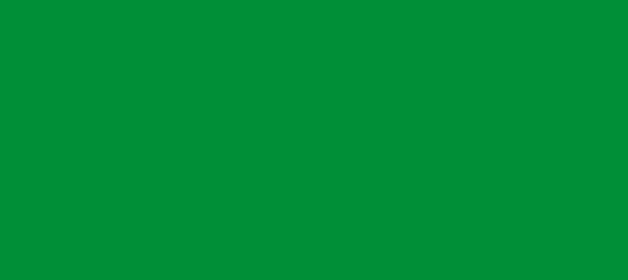 Color #008E37 Pigment Green (background png icon) HTML CSS