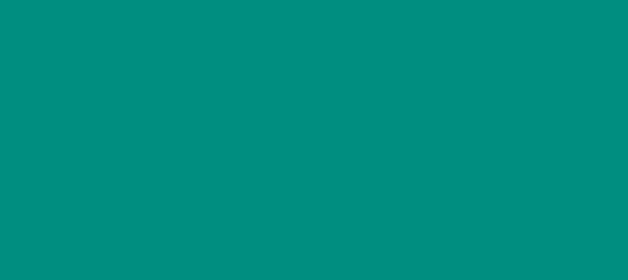 Color #008E7E Dark Cyan (background png icon) HTML CSS