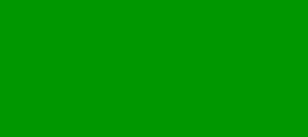 Color #009600 Islamic Green (background png icon) HTML CSS