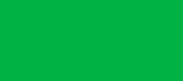 Color #00B144 Dark Pastel Green (background png icon) HTML CSS