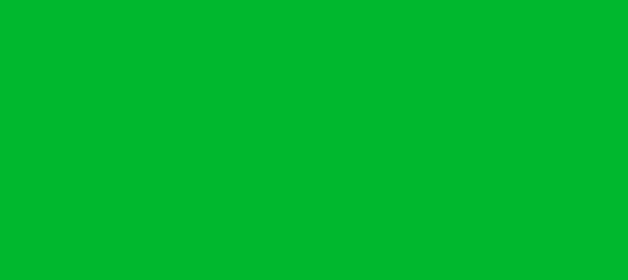 Color #00B82E Dark Pastel Green (background png icon) HTML CSS