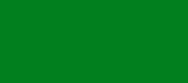 Color #017E1E Green (background png icon) HTML CSS
