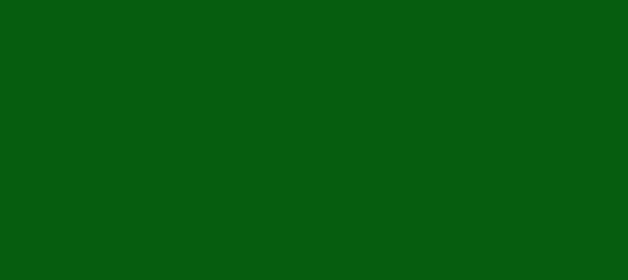 Color #055E0E Green (background png icon) HTML CSS