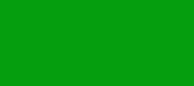 Color #059E0E Islamic Green (background png icon) HTML CSS