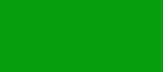 Color #069E0E Islamic Green (background png icon) HTML CSS