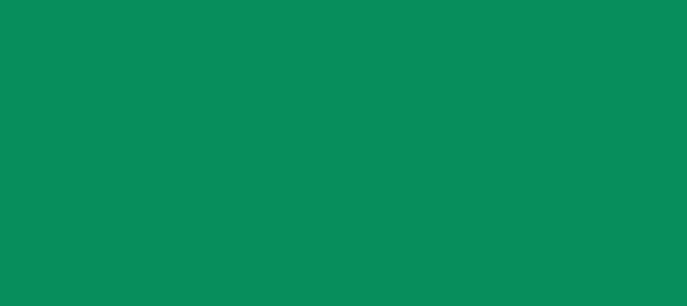 Color #078E5C Shamrock Green (background png icon) HTML CSS