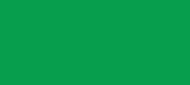 Color #079E4E Pigment Green (background png icon) HTML CSS