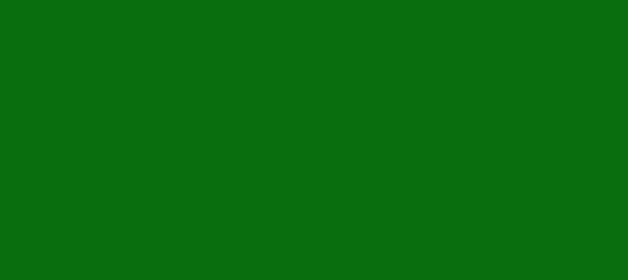 Color #086E0E Green (background png icon) HTML CSS