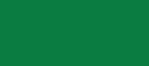 Color #0A7D43 Salem (background png icon) HTML CSS