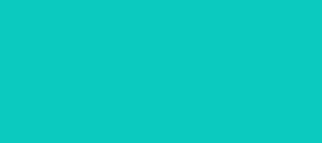 Color #0BCABF Robin's Egg Blue (background png icon) HTML CSS