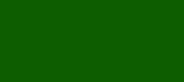 Color #0D5D00 Green (background png icon) HTML CSS