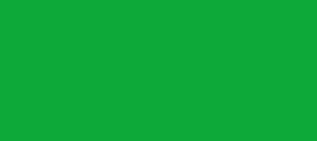 Color #0DA939 Dark Pastel Green (background png icon) HTML CSS