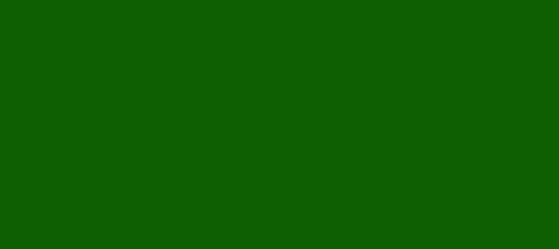 Color #0E5E02 Green (background png icon) HTML CSS