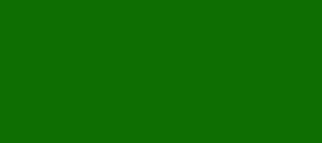 Color #0E6E02 Green (background png icon) HTML CSS