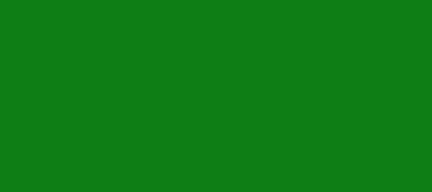 Color #0E7E15 Green (background png icon) HTML CSS