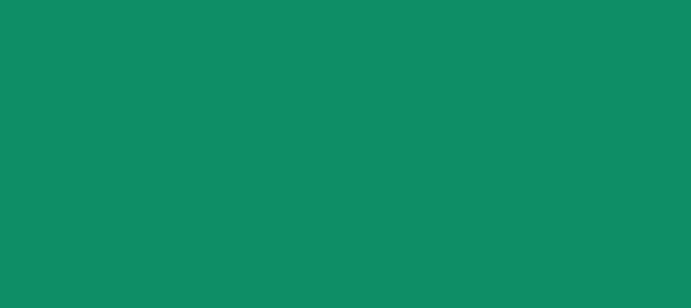 Color #0E8E66 Elf Green (background png icon) HTML CSS