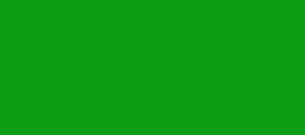 Color #0E9E15 Islamic Green (background png icon) HTML CSS