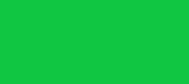 Color #10C642 Dark Pastel Green (background png icon) HTML CSS