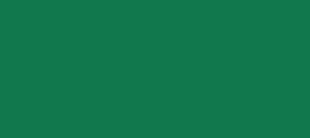 Color #11774D Salem (background png icon) HTML CSS
