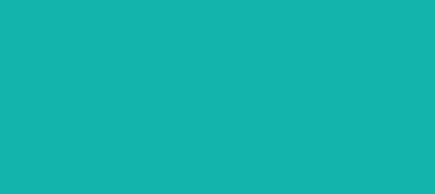 Color #12B4AC Light Sea Green (background png icon) HTML CSS