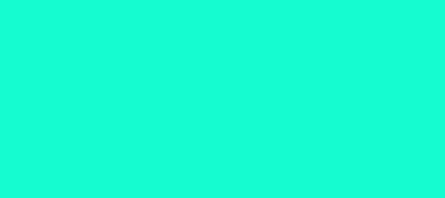 Color #15FBD0 Bright Turquoise (background png icon) HTML CSS