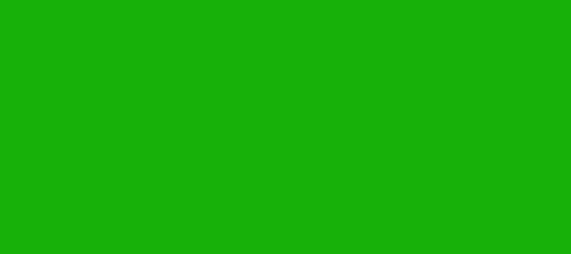 Color #17B109 Islamic Green (background png icon) HTML CSS