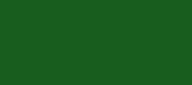 Color #185D1E Myrtle (background png icon) HTML CSS