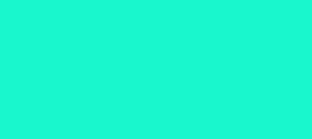 Color #19F7CD Bright Turquoise (background png icon) HTML CSS