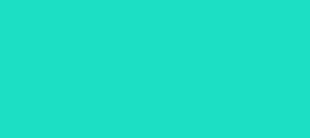 Color #1CDFC4 Bright Turquoise (background png icon) HTML CSS