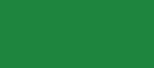 Color #1E853E Dark Spring Green (background png icon) HTML CSS