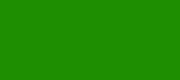 Color #1E8E01 Islamic Green (background png icon) HTML CSS