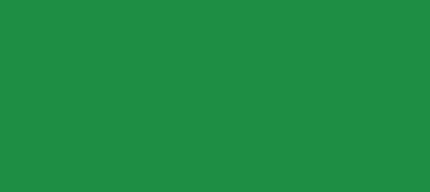 Color #1E8E44 Sea Green (background png icon) HTML CSS