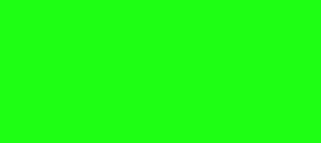 Color #1EFF14 Free Speech Green (background png icon) HTML CSS