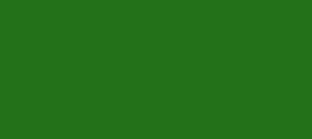 Color #237119 Forest Green (background png icon) HTML CSS