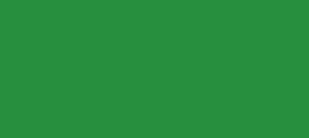 Color #278F3E Sea Green (background png icon) HTML CSS