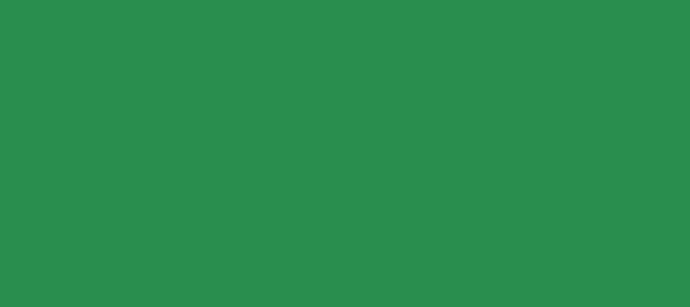 Color #298E4E Sea Green (background png icon) HTML CSS