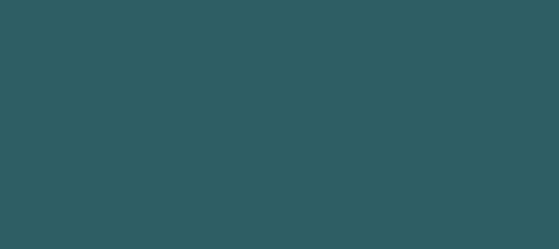 Color #2E5E64 Blumine (background png icon) HTML CSS