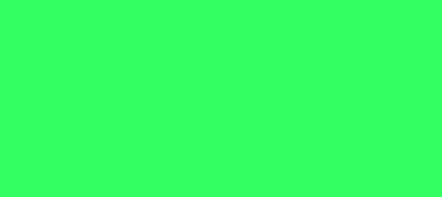 Color #33FF63 Screamin' Green (background png icon) HTML CSS