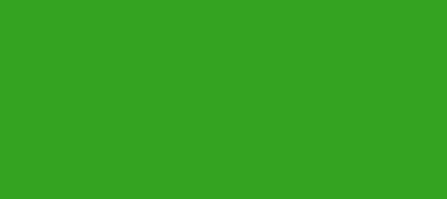 Color #34A321 La Palma (background png icon) HTML CSS
