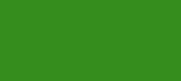 Color #358D1D La Palma (background png icon) HTML CSS