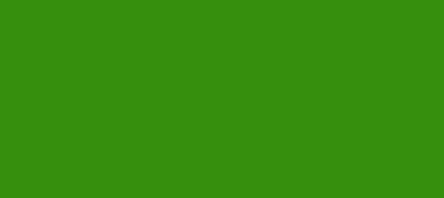 Color #378E0F La Palma (background png icon) HTML CSS