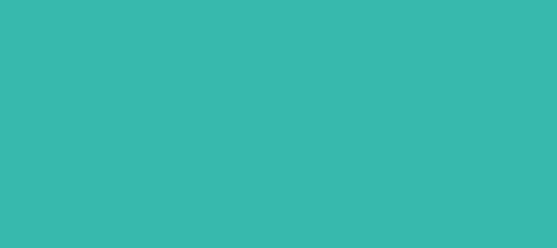 Color #37B9AD Light Sea Green (background png icon) HTML CSS