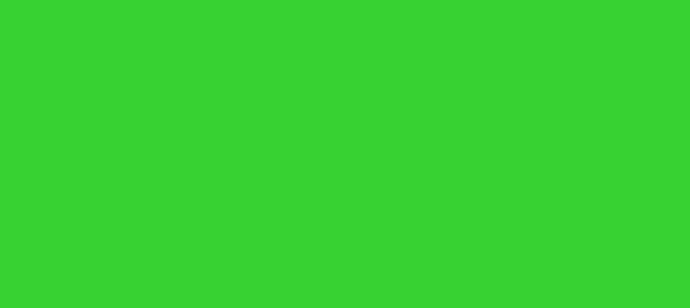 Color #37D232 Lime Green (background png icon) HTML CSS