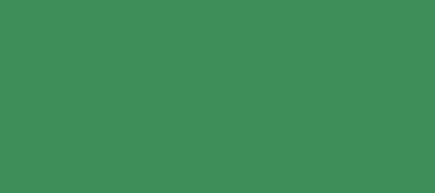 Color #3E8E59 Sea Green (background png icon) HTML CSS