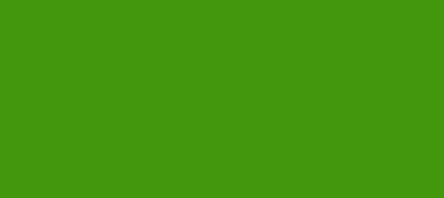Color #439A0E La Palma (background png icon) HTML CSS