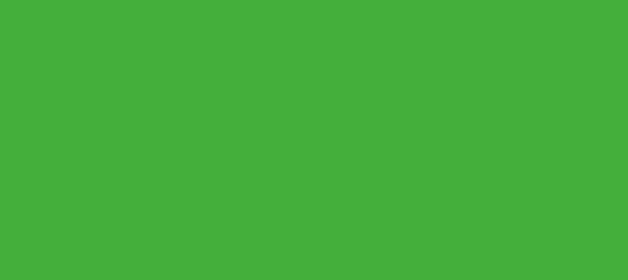 Color #46AF3A Fruit Salad (background png icon) HTML CSS